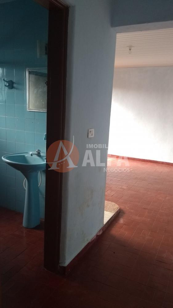 Casa à venda com 3 quartos, 250m² - Foto 48