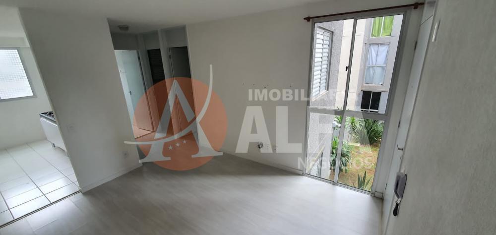 Apartamento à venda com 2 quartos, 45m² - Foto 4