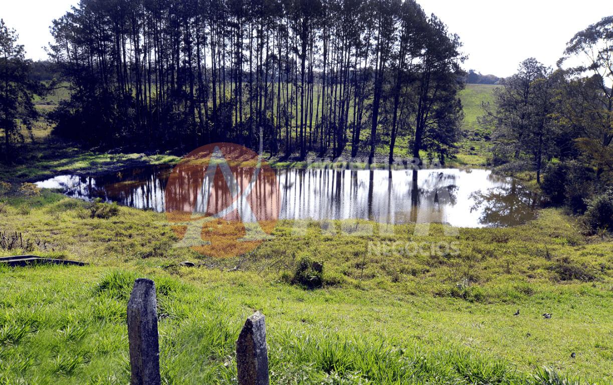 Casa térrea 2 Dormitórios Condomínio Lago Dos Pássaros (Caucaia do Alto)  Cotia/SP