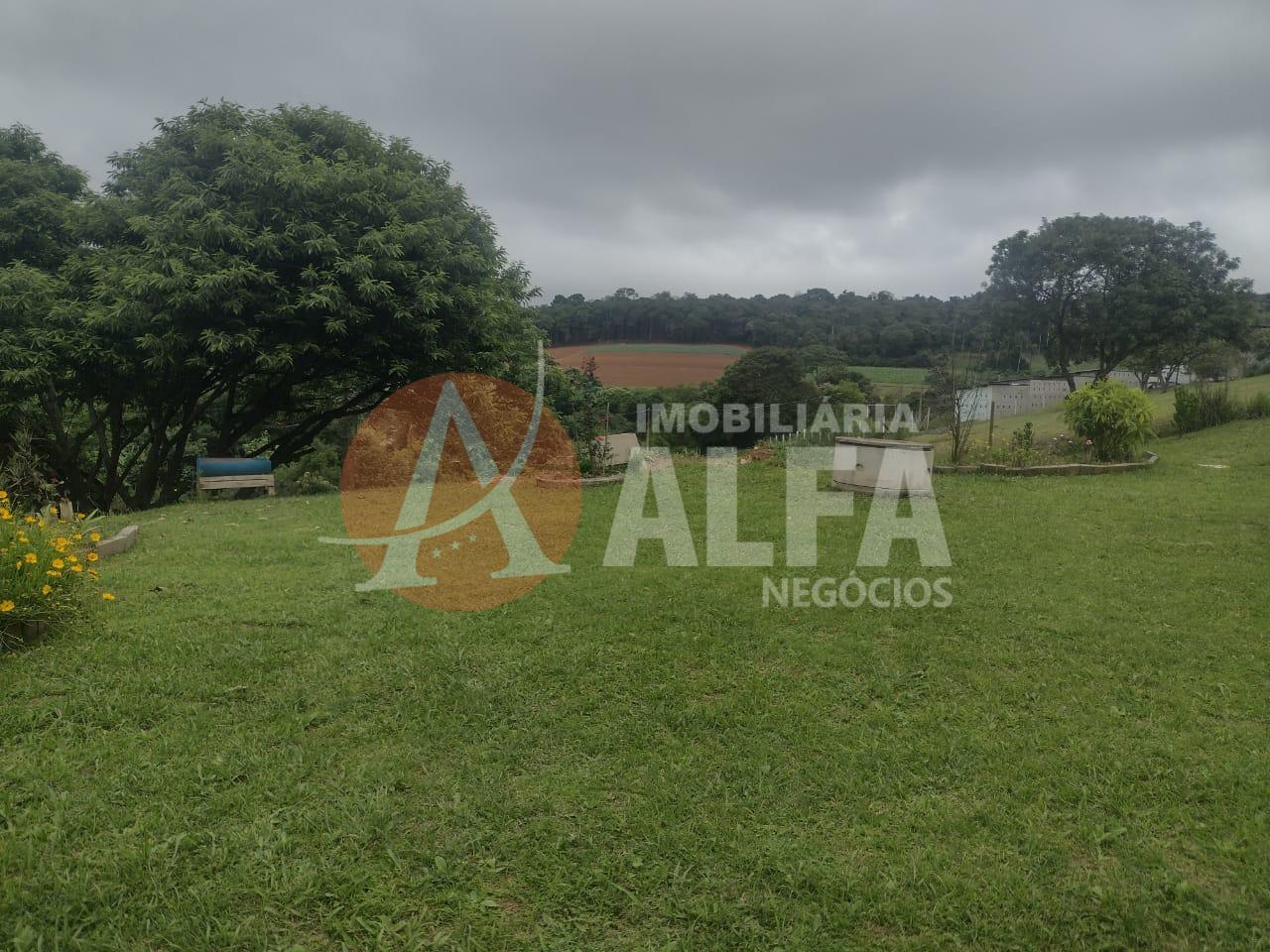 Fazenda à venda com 3 quartos, 2000m² - Foto 24