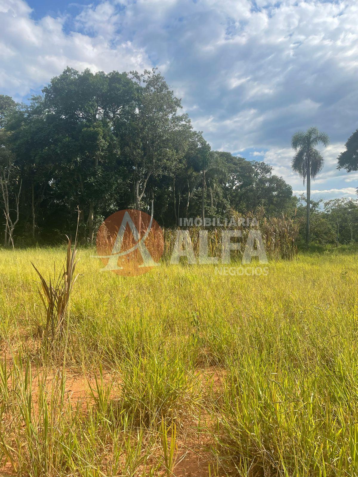 Terreno à venda com 1 quarto, 10600m² - Foto 7