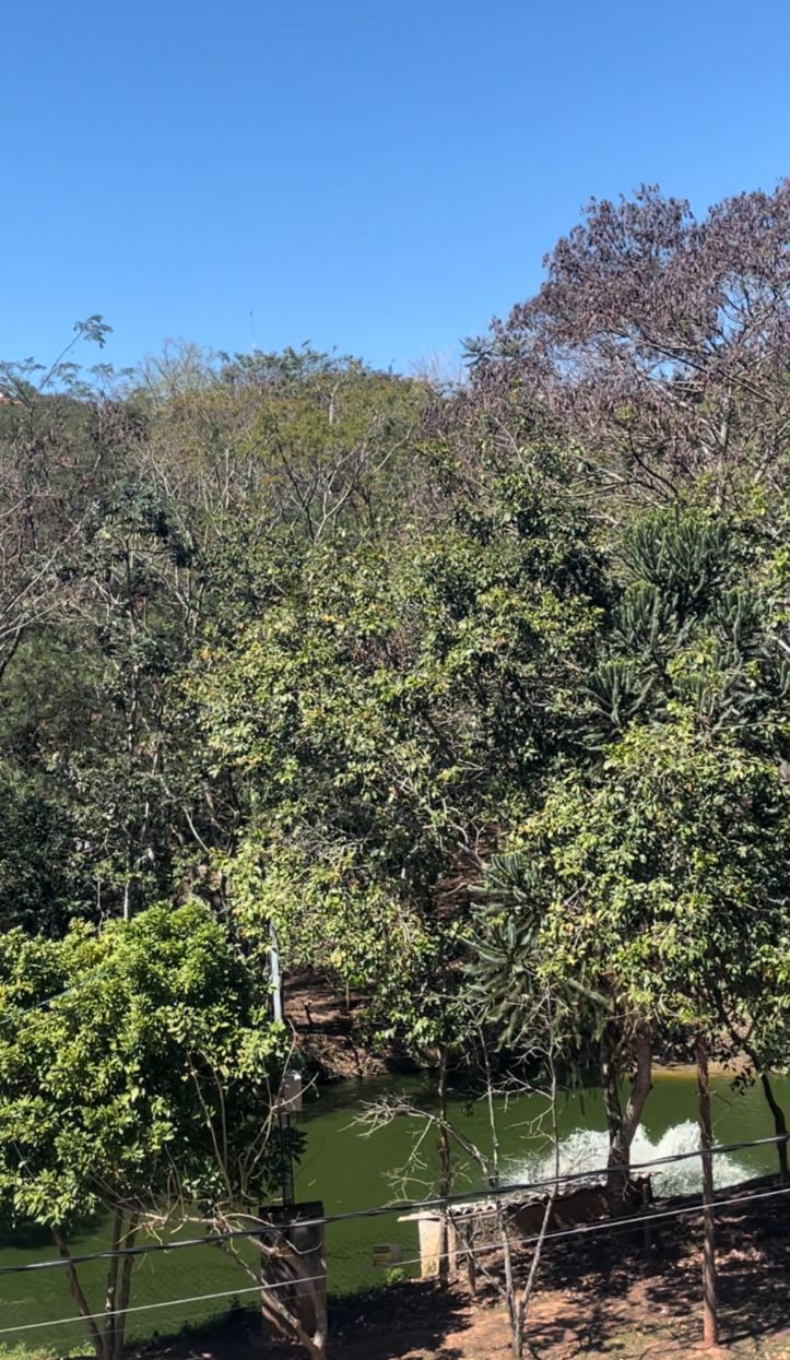 Casa - Venda, Jardim Rio das Pedras, Cotia, SP