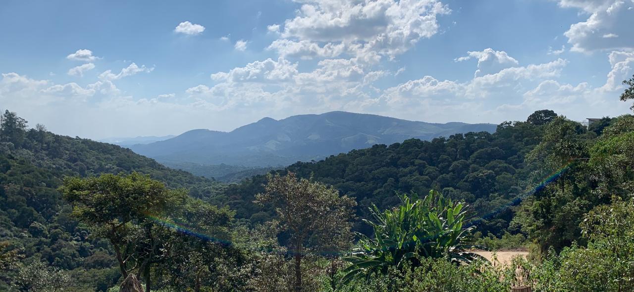 Terreno à venda com 1 quarto, 1645m² - Foto 3