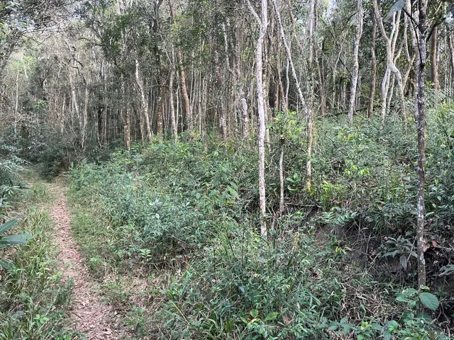 Terreno à venda com 1 quarto, 1000m² - Foto 4