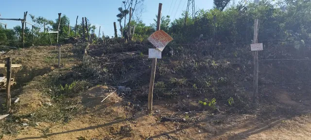 Terreno à venda com 1 quarto - Foto 2