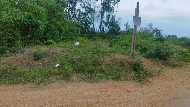 Terreno à venda com 1 quarto - Foto 1