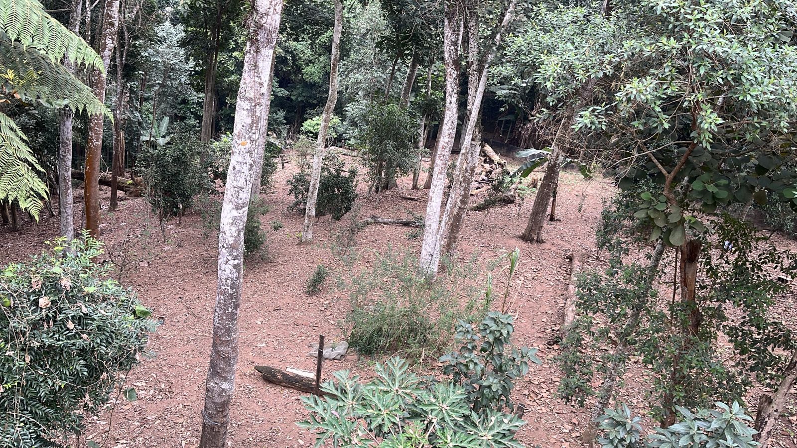 Galpão - 3.600m² - Estr. do Capuava - Embu das Artes/SP