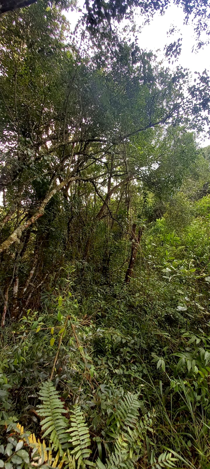 Terreno - Venda, CAMPO VERDE, Ibiúna, SP