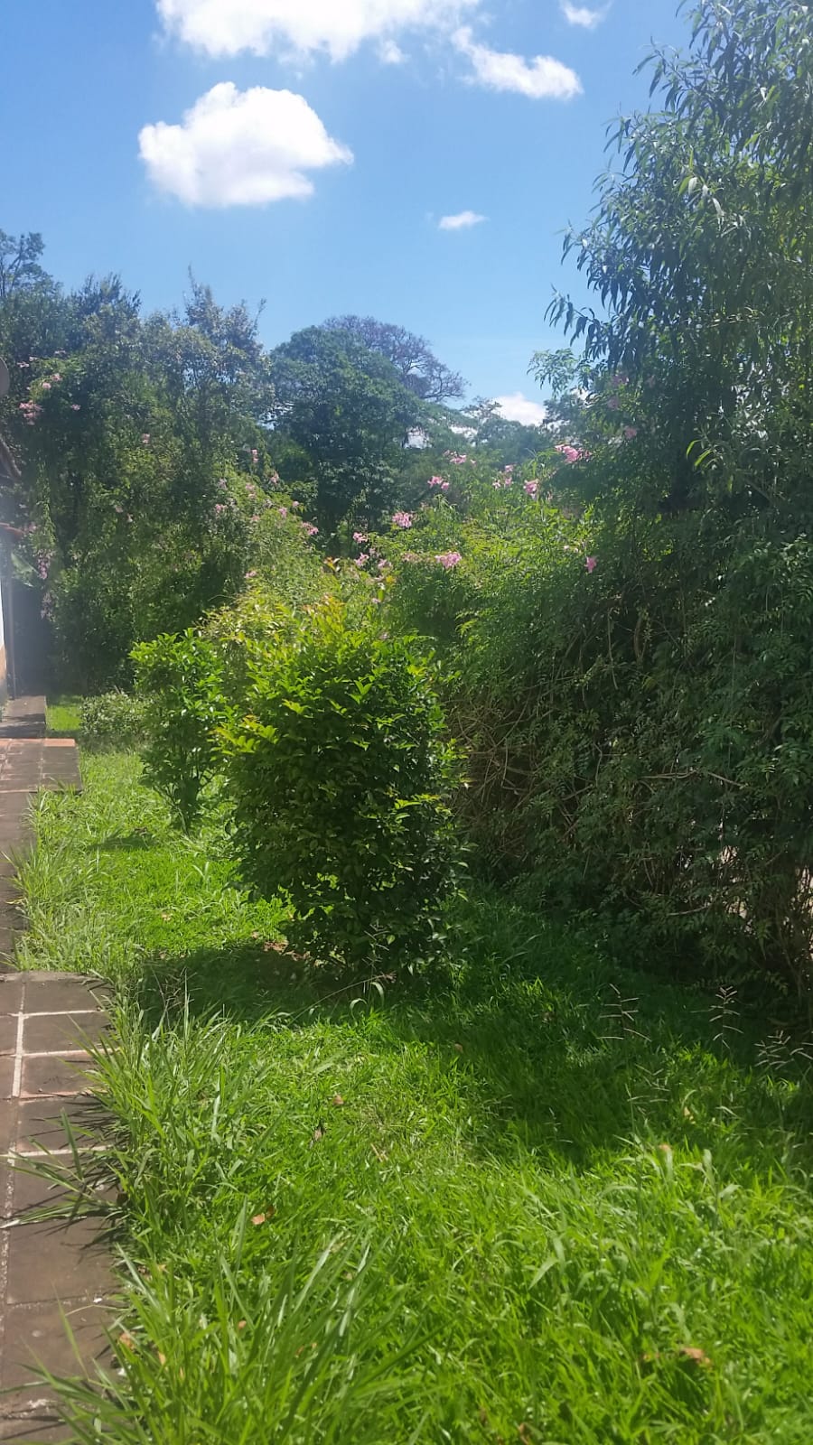 Casa à venda com 2 quartos, 100m² - Foto 4