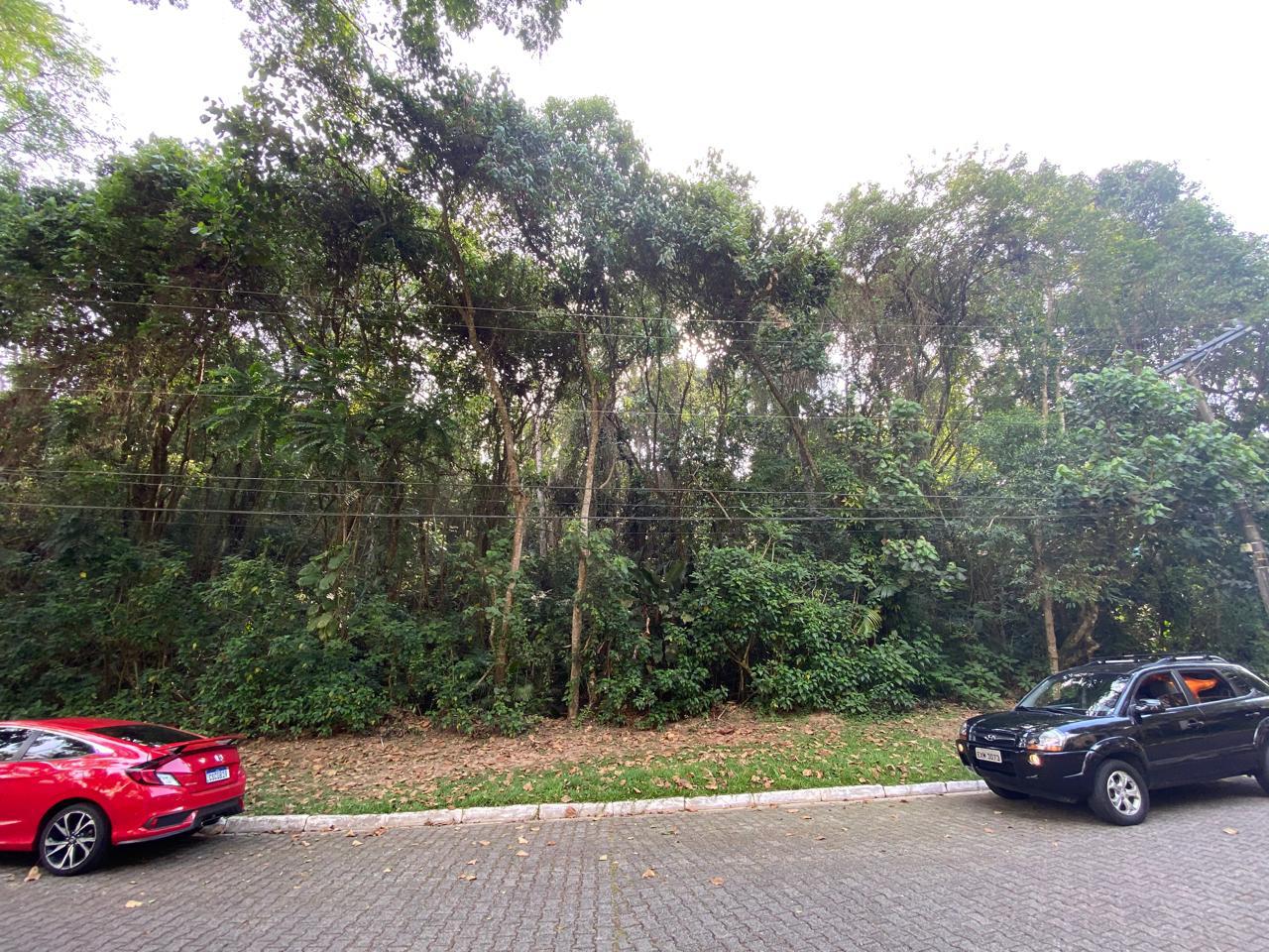 Terreno à venda com 1 quarto, 1040m² - Foto 7
