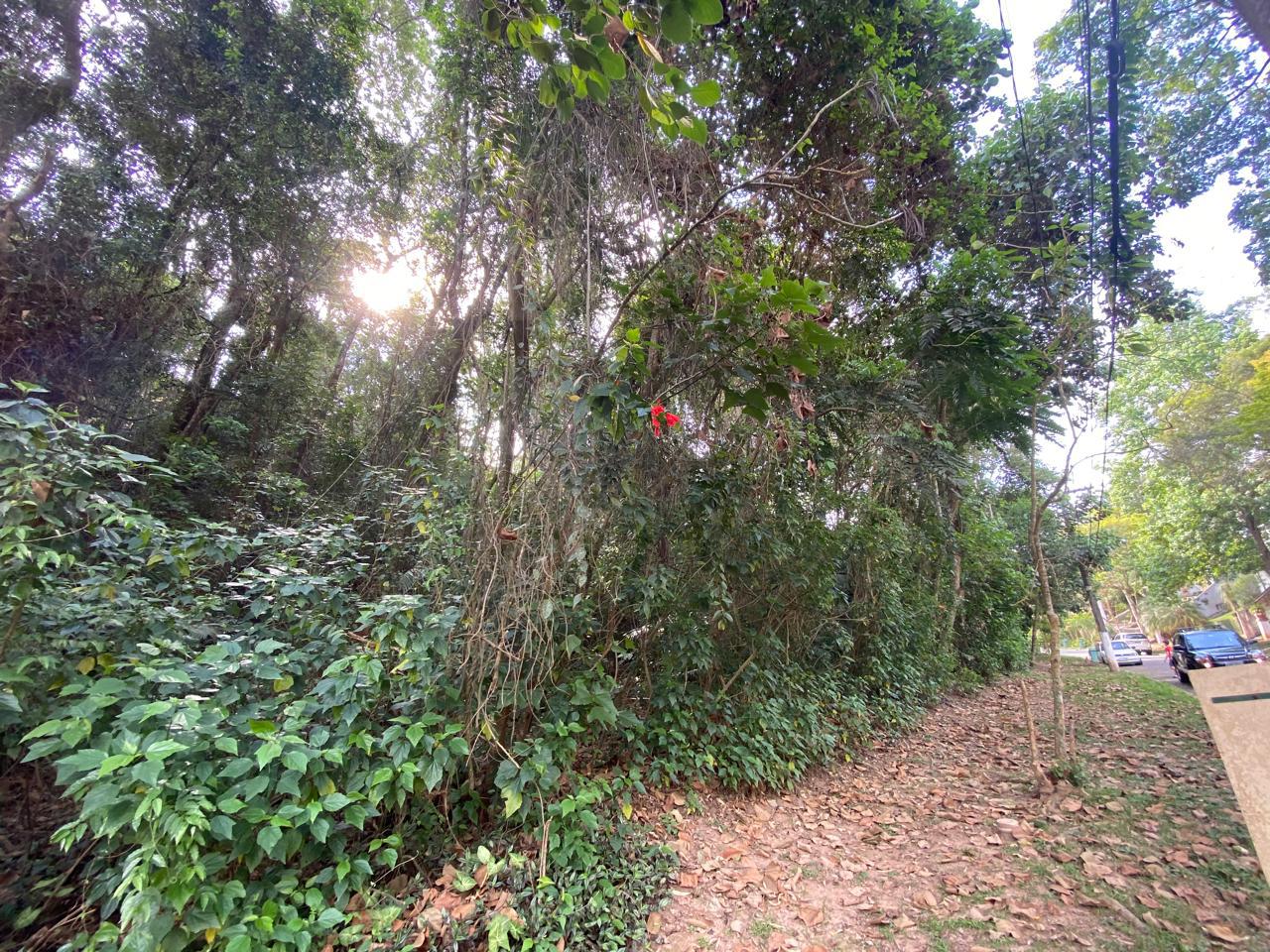 Terreno à venda com 1 quarto, 1040m² - Foto 8