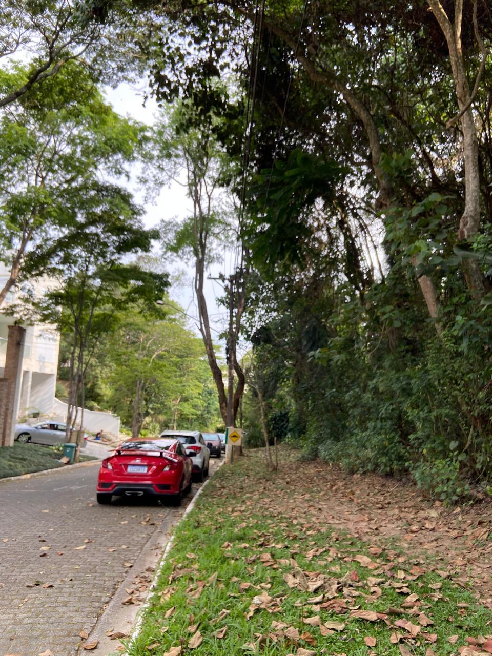 Terreno à venda com 1 quarto, 1040m² - Foto 2