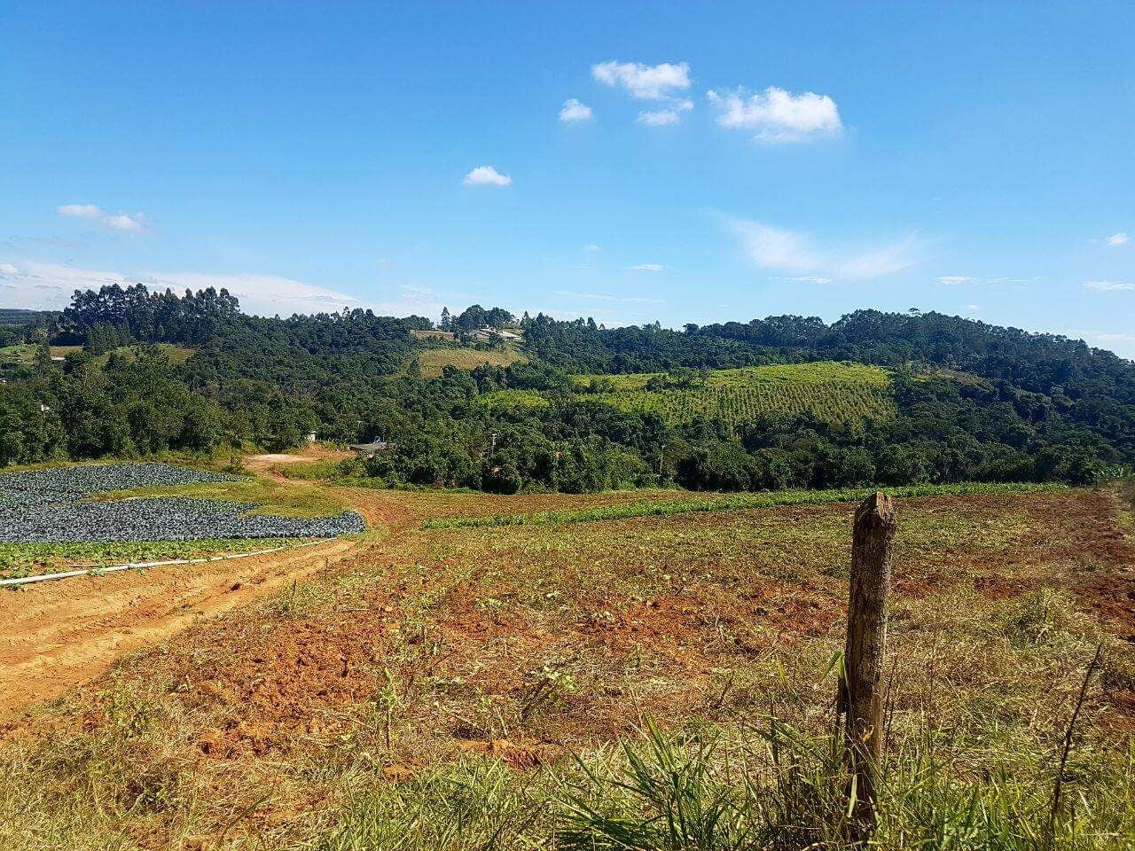 TERRENO - 1.280,82 M2 - Estrada dos Pires -  Ibiúna/SP