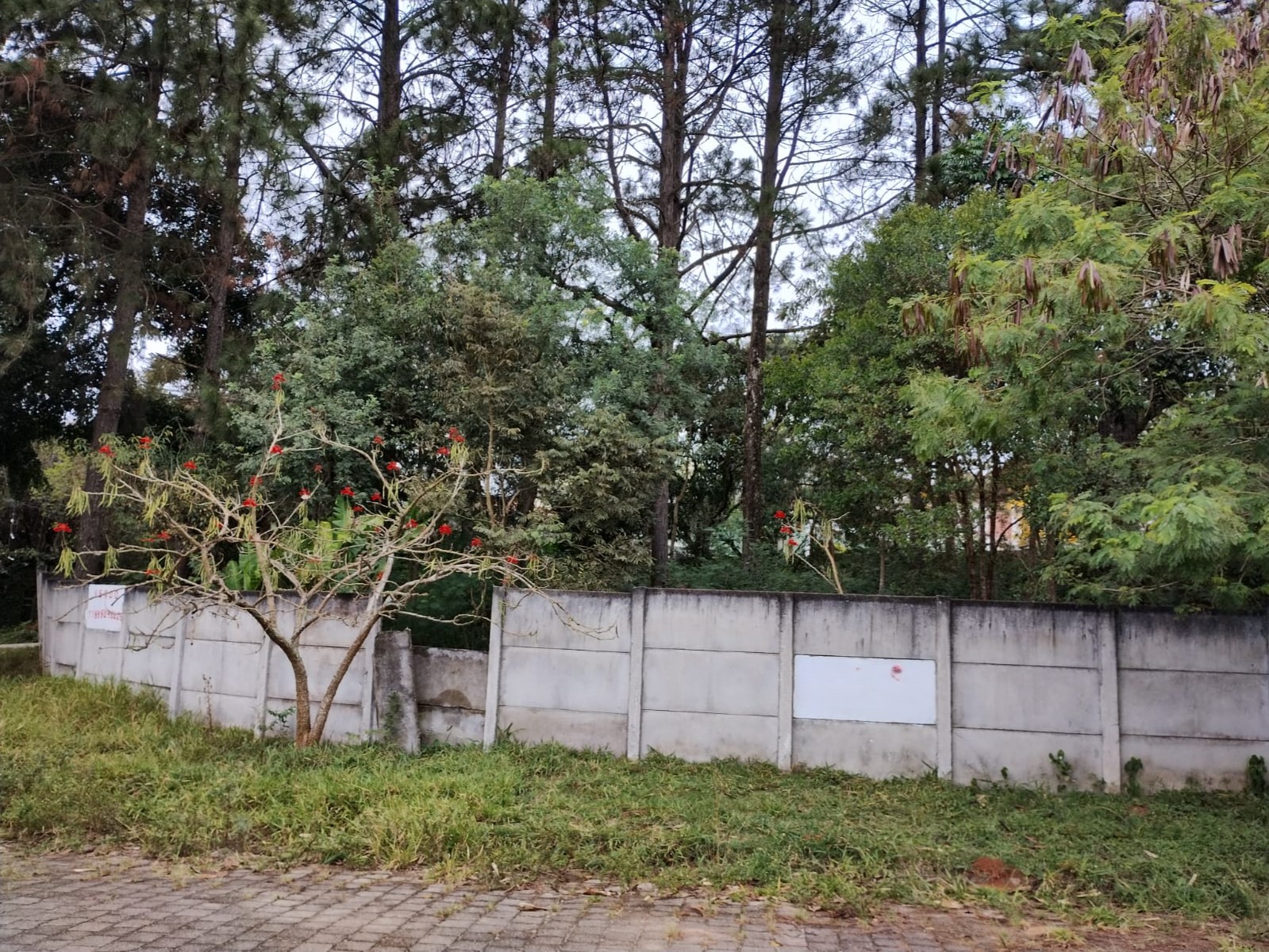 TERRENO DE ESQUINA - 586,2 m² - Bairro gramado -  Cotia/SP