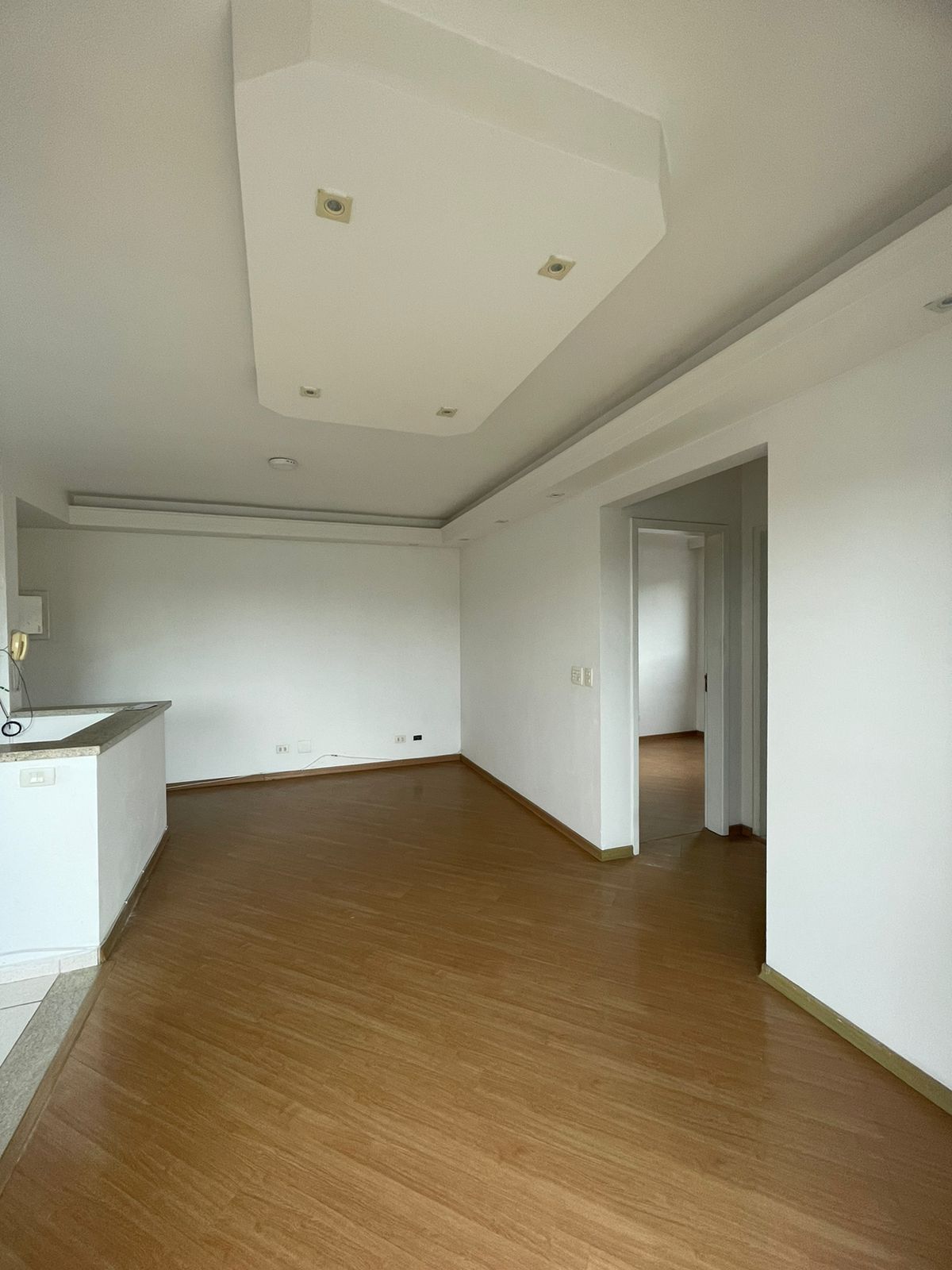 Apartamento à venda com 2 quartos, 47m² - Foto 4