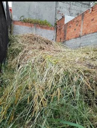 TERRENO (V) - Jardim Leonor - Cotia - SP