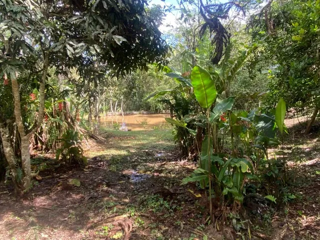 Fazenda à venda com 3 quartos, 100m² - Foto 1