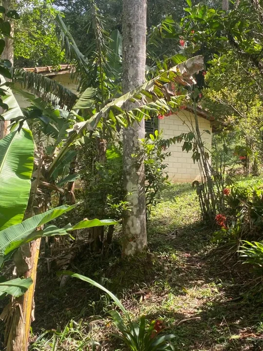 Fazenda à venda com 3 quartos, 100m² - Foto 5