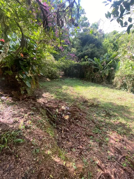 Fazenda à venda com 3 quartos, 100m² - Foto 4