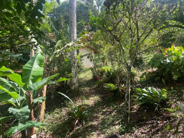 Fazenda à venda com 3 quartos, 100m² - Foto 3