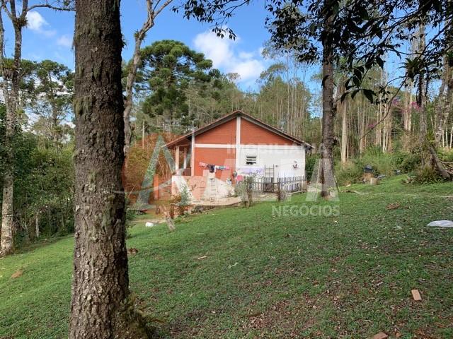Casa à venda com 4 quartos, 40000m² - Foto 13