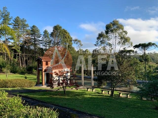 Casa à venda com 4 quartos, 40000m² - Foto 16