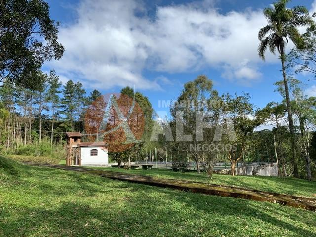 Casa à venda com 4 quartos, 40000m² - Foto 15