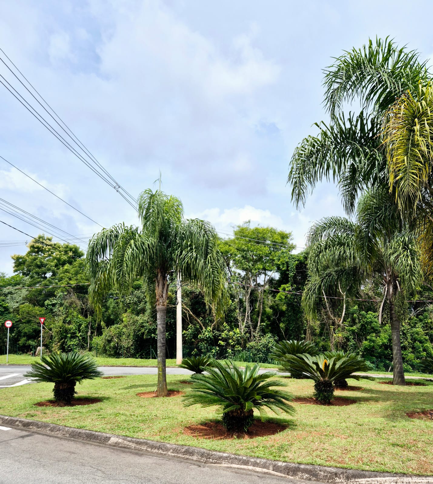Terreno - Venda, Parque Dom Henrique, Cotia, SP