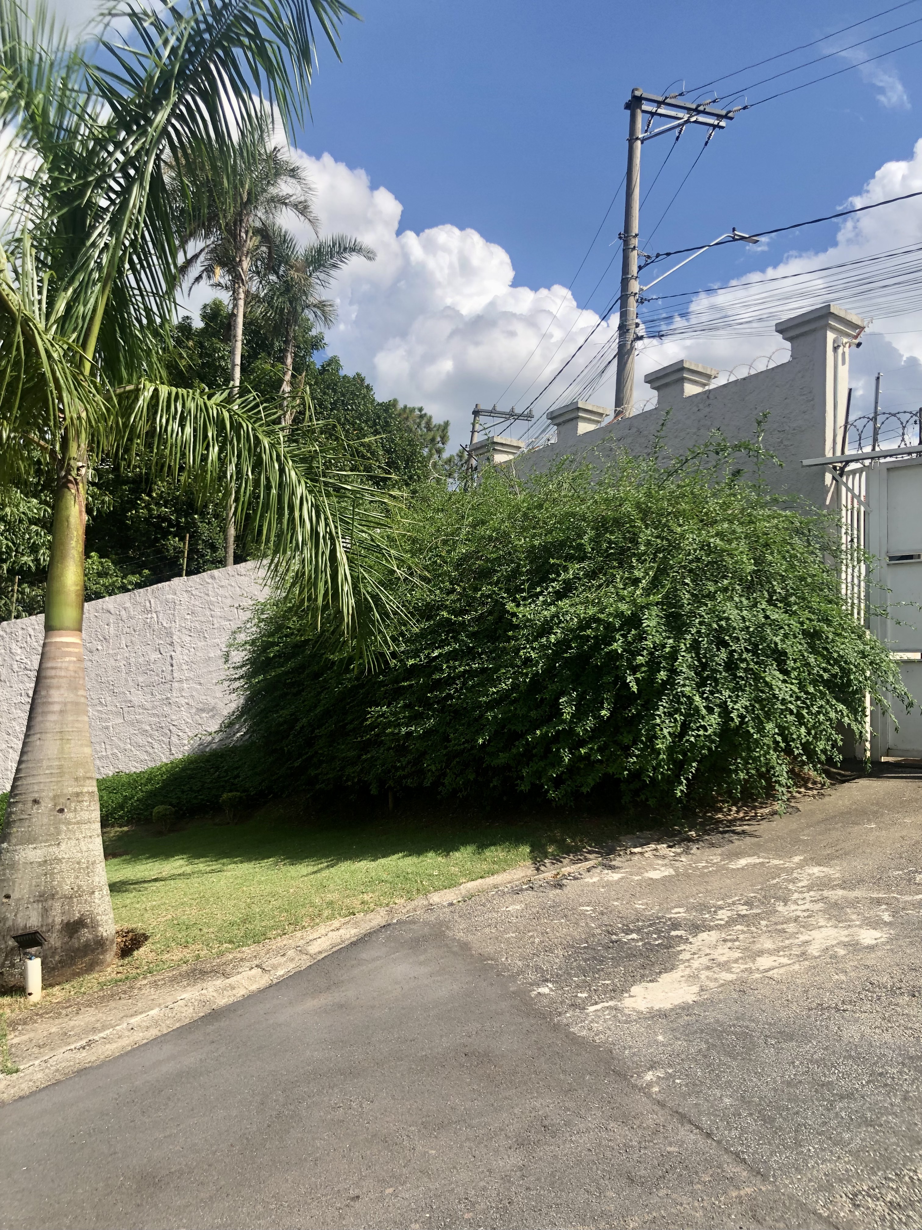 Casa para alugar com 2 quartos, 58m² - Foto 22