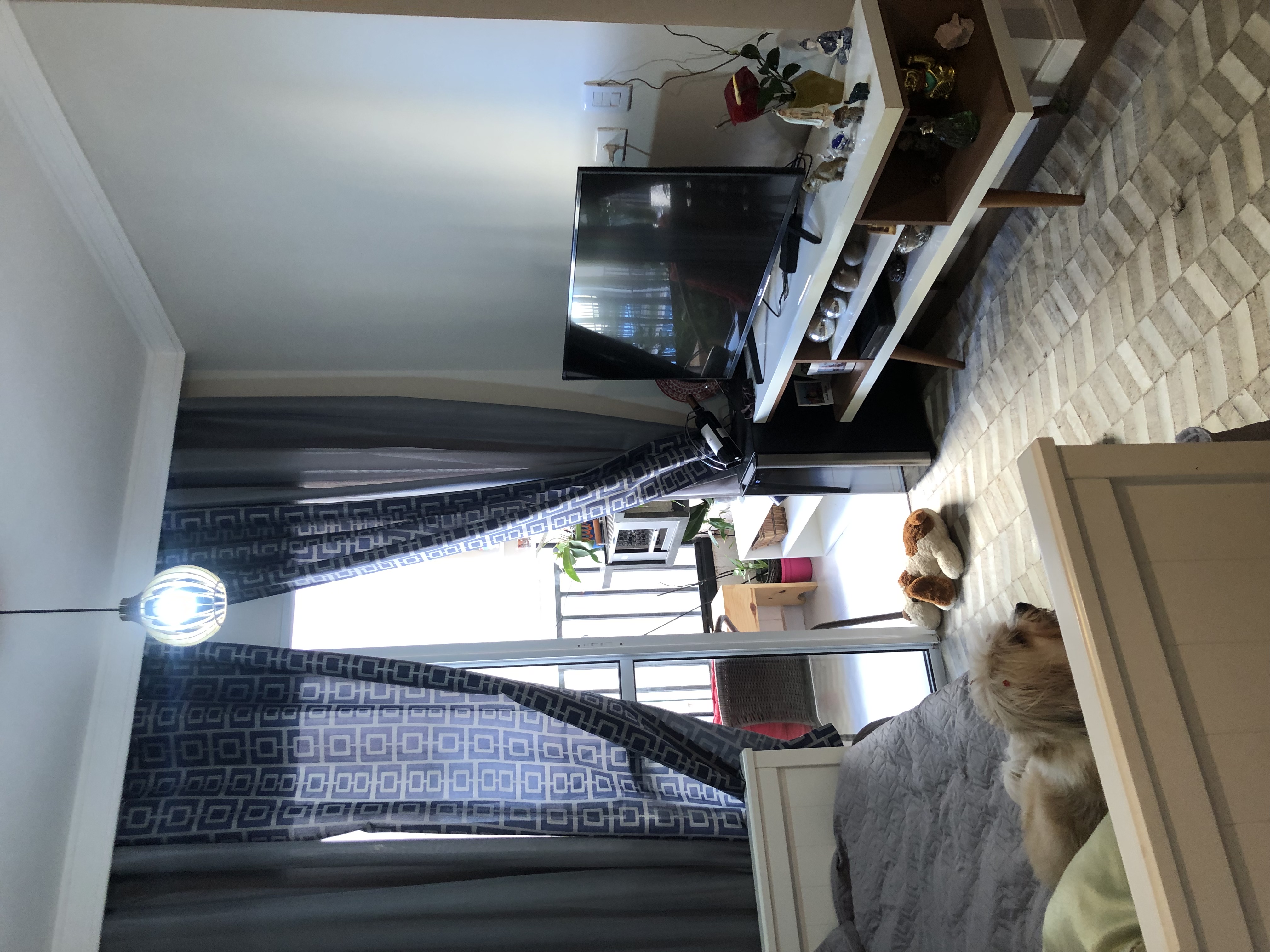 Apartamento - Locação, Jardim da Glória, Cotia, SP