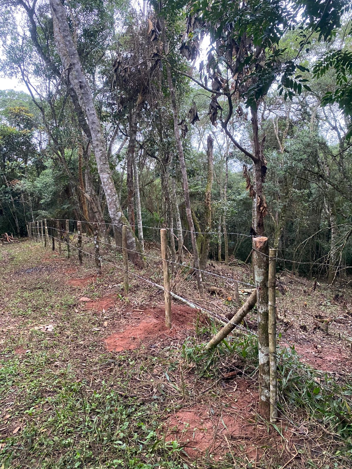 Terreno à venda  2.380m² - Condomínio Haras Mansani - Embu das Artes/SP