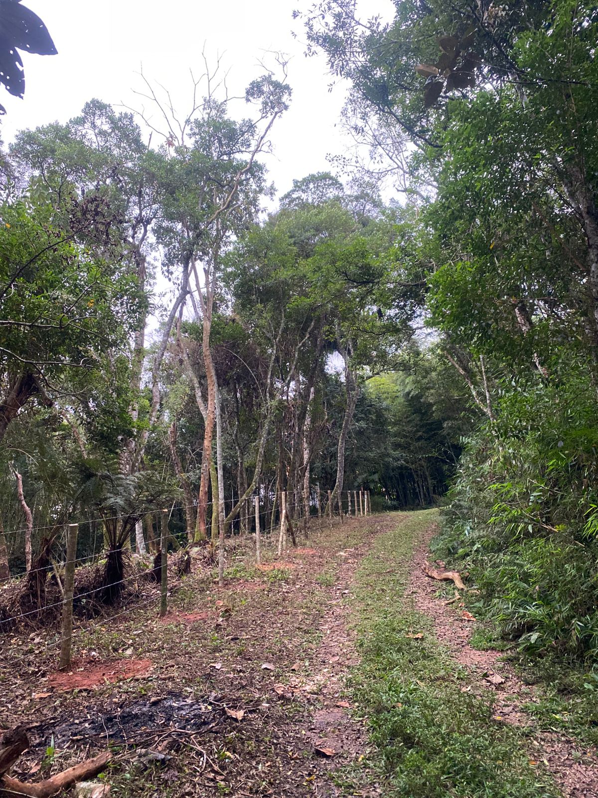 Terreno - Venda, Caputera, Cotia, SP