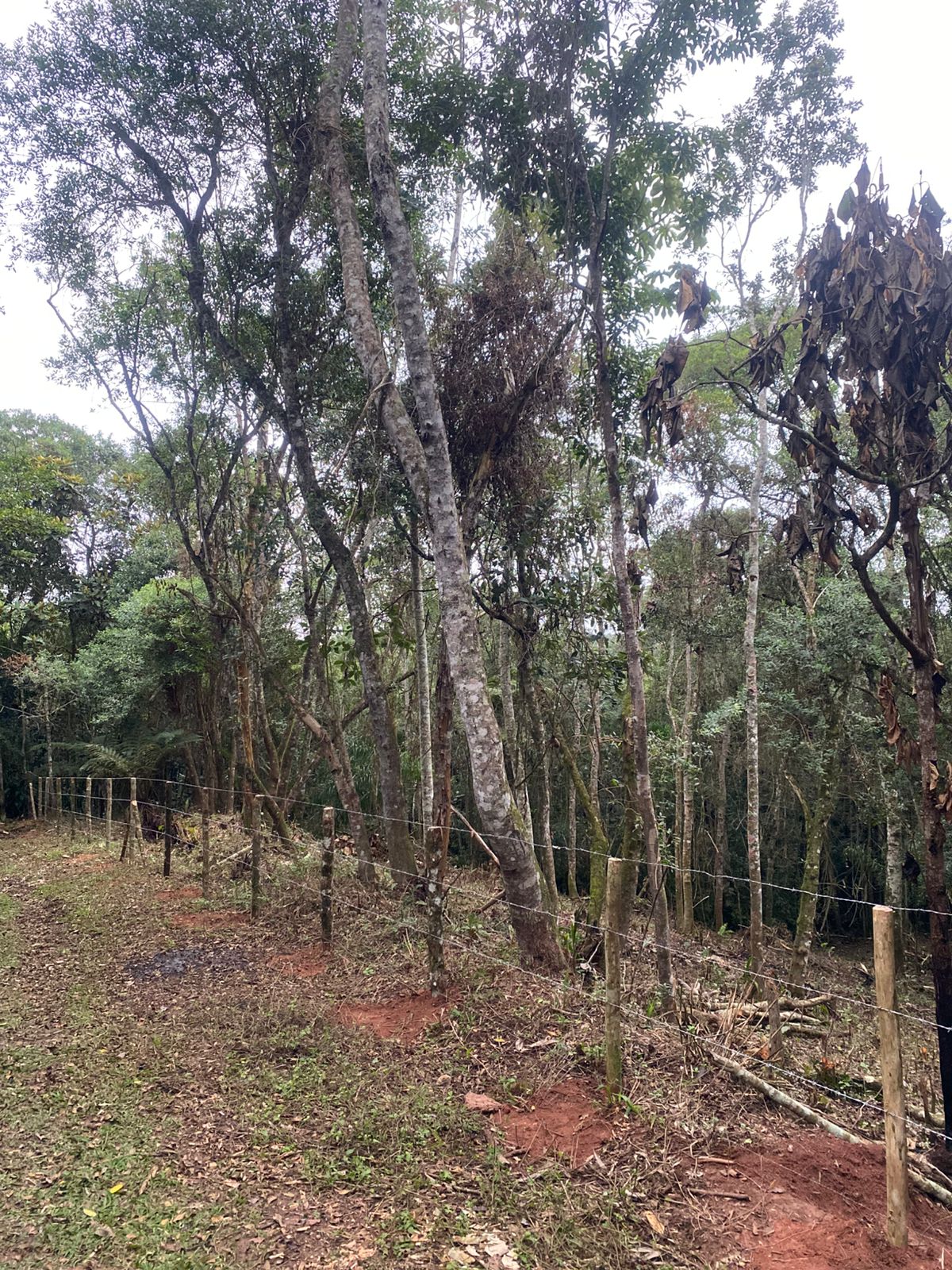 Terreno à venda  2.380m² - Condomínio Haras Mansani - Embu das Artes/SP