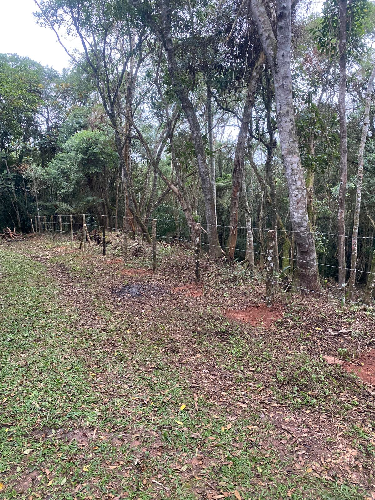 Terreno à venda  2.380m² - Condomínio Haras Mansani - Embu das Artes/SP