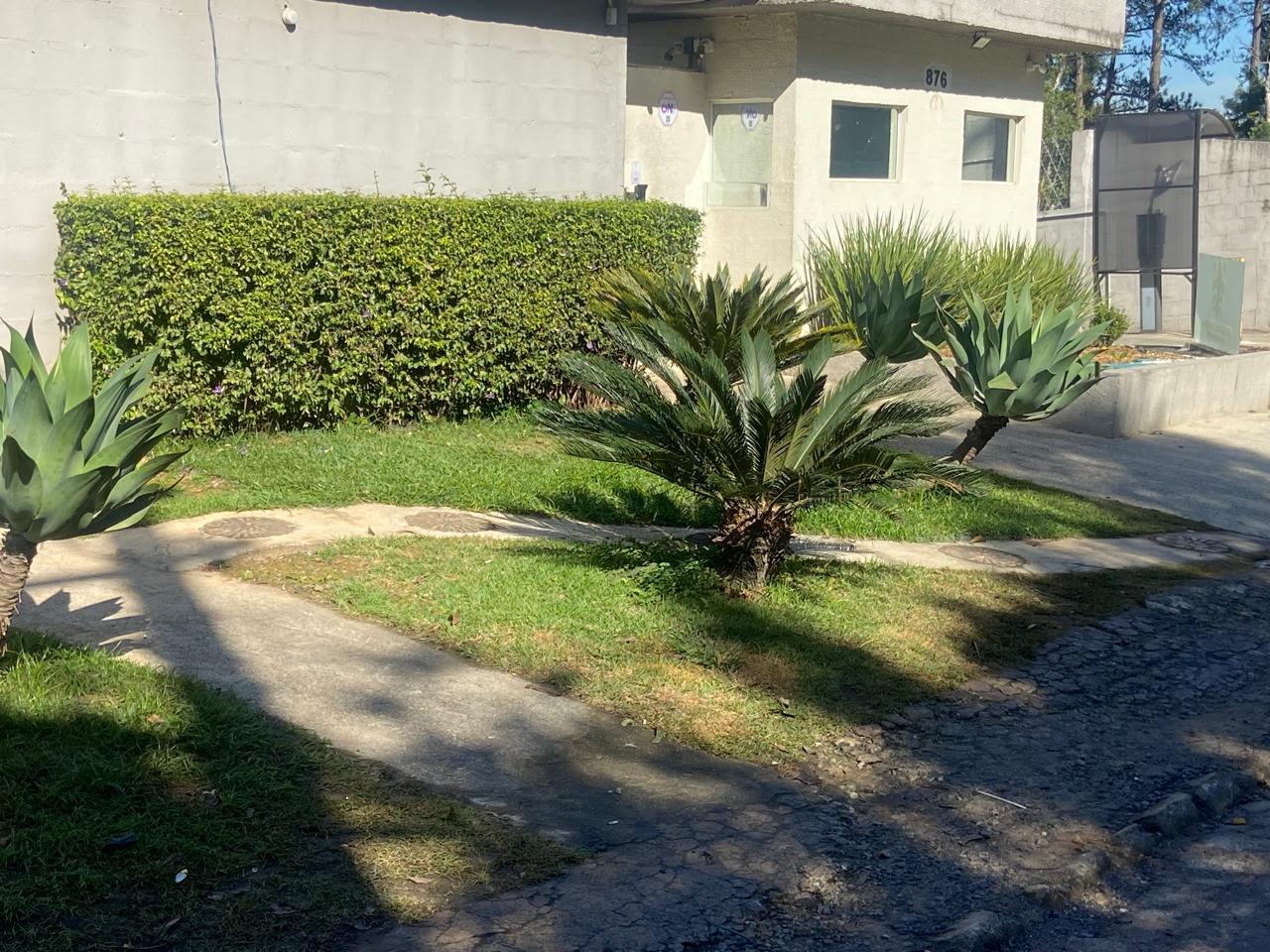 Apartamento - Locação, Jardim Colibri, Cotia, SP