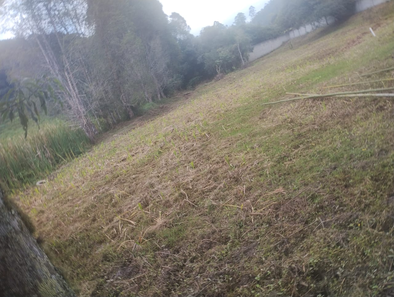 Terreno a venda 2450m² - Lajeado do Salto - Ibiúna/SP