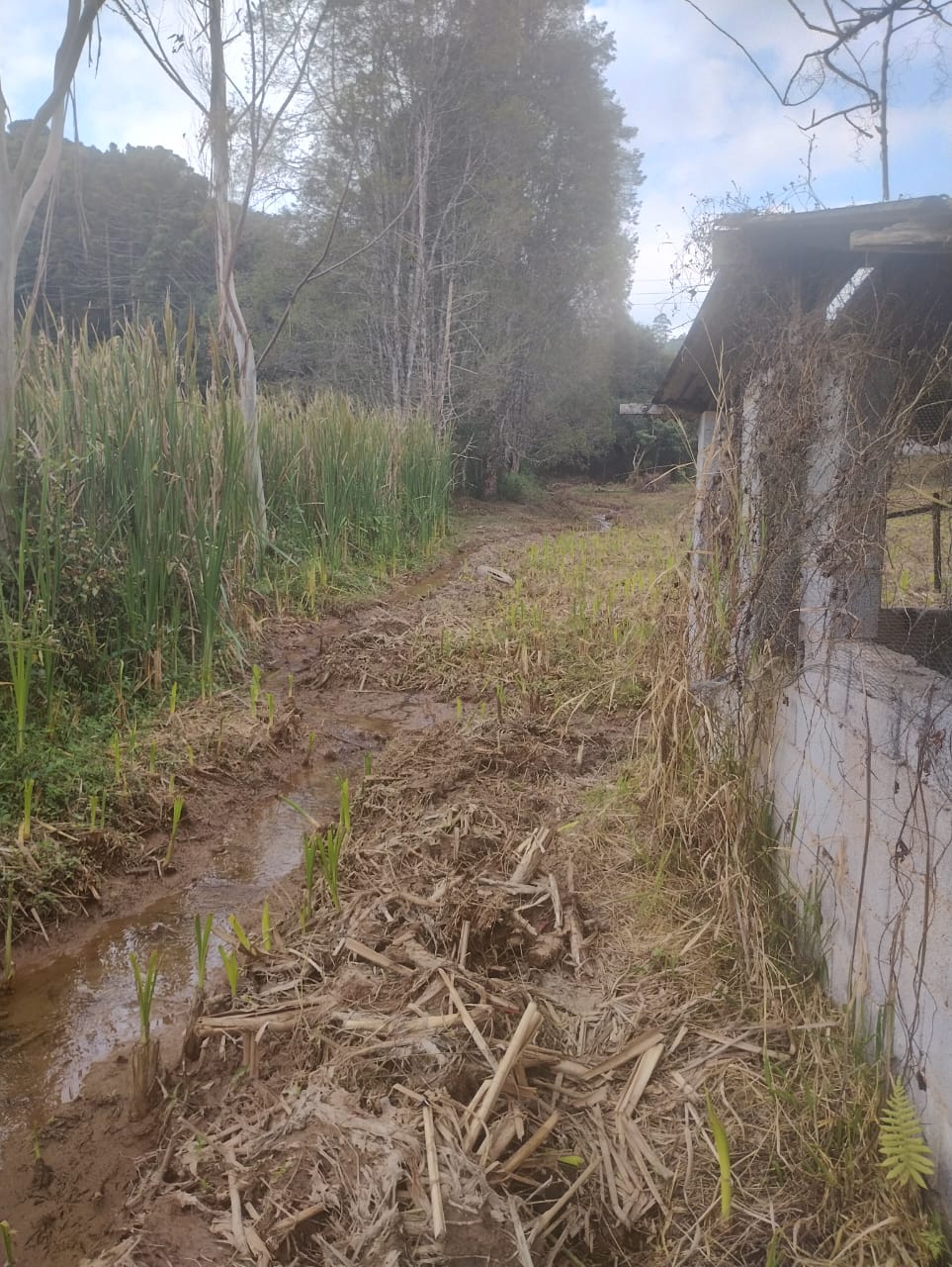 Terreno a venda 2450m² - Lajeado do Salto - Ibiúna/SP