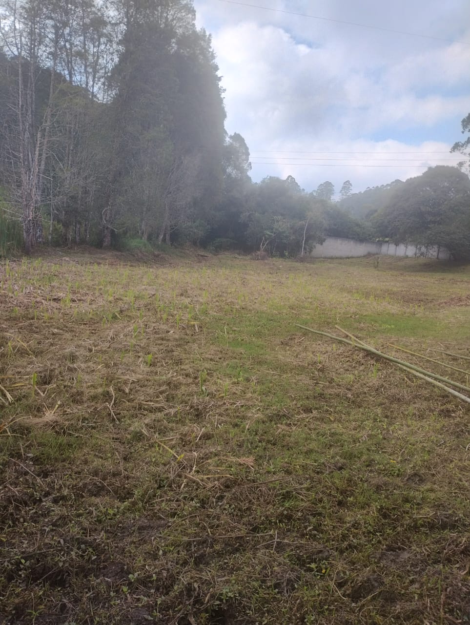 Terreno a venda 2450m² - Lajeado do Salto - Ibiúna/SP