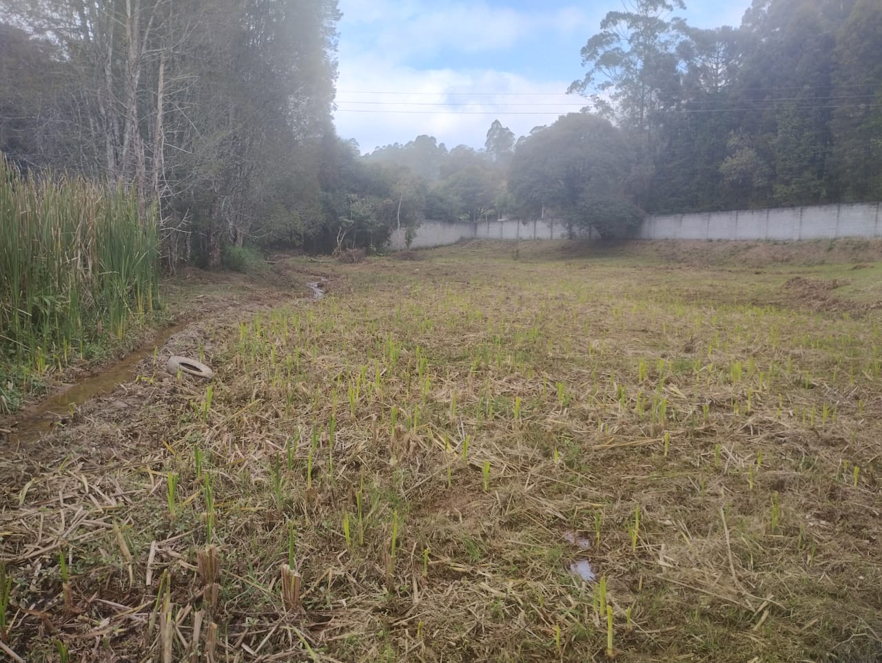 Terreno a venda 2450m² - Lajeado do Salto - Ibiúna/SP