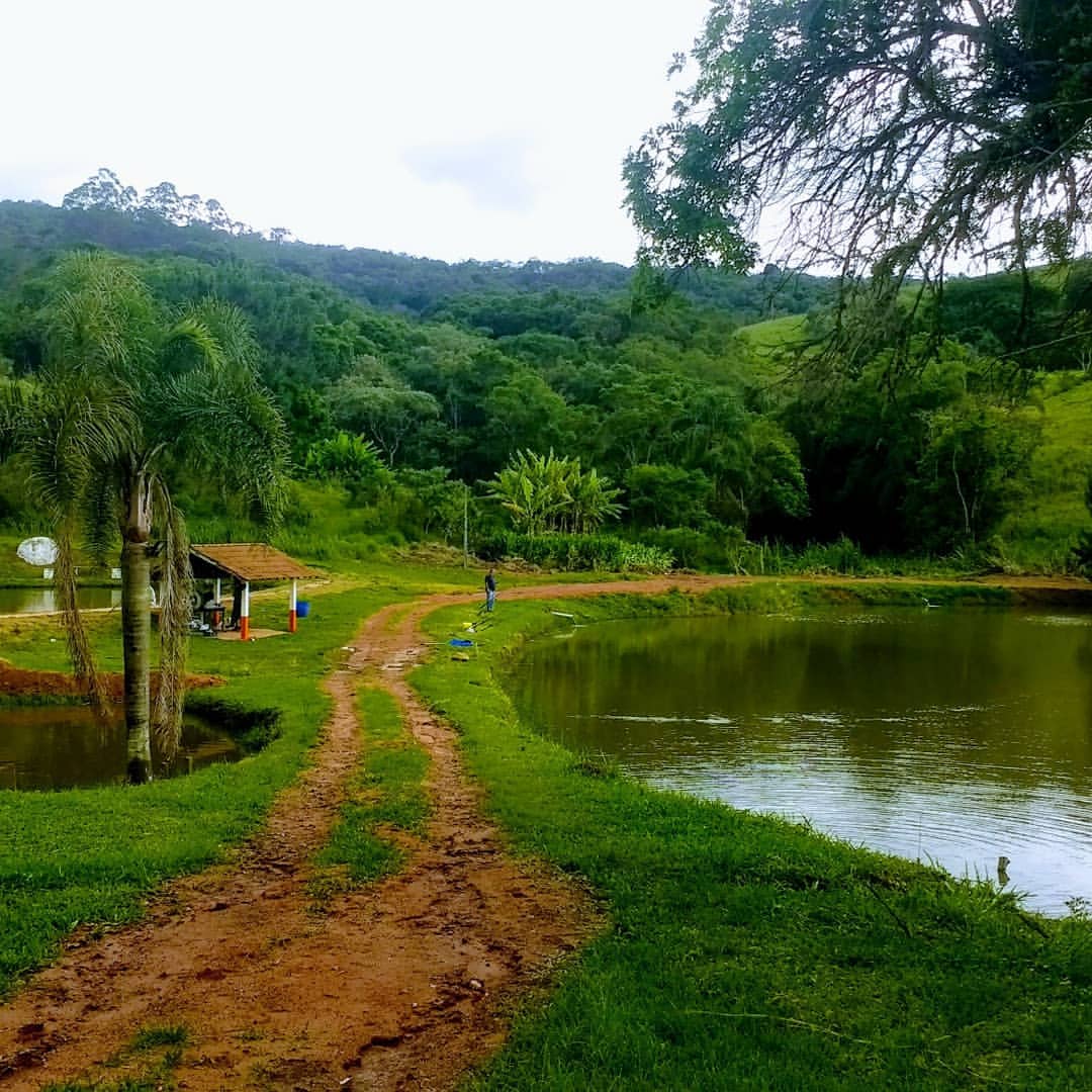 Chácara com 193.600m² - Bairro da Cachoeira - Cotia/SP