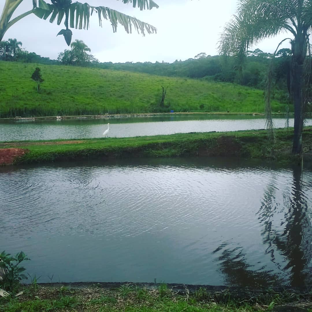 Chácara com 193.600m² - Bairro da Cachoeira - Cotia/SP
