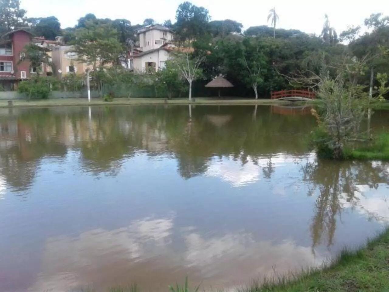 Terreno Com 501 m² - Parque São Paulo - Cotia/SP