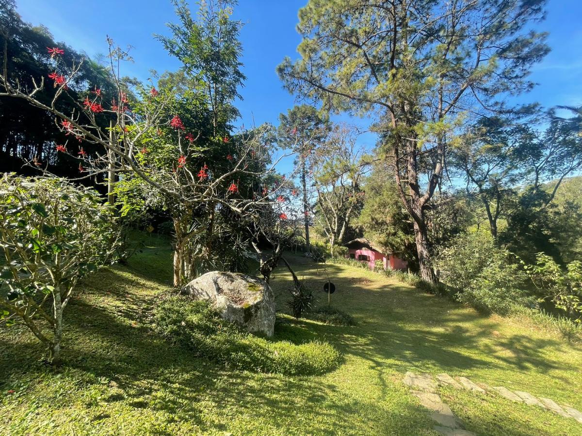 Chácara à venda com 3 quartos, 56000m² - Foto 22