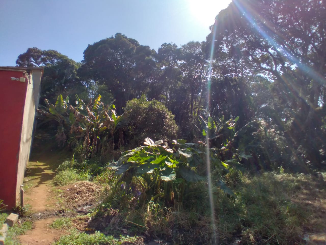 Terreno com 5.700m² - Nhambuca - Cotia/SP