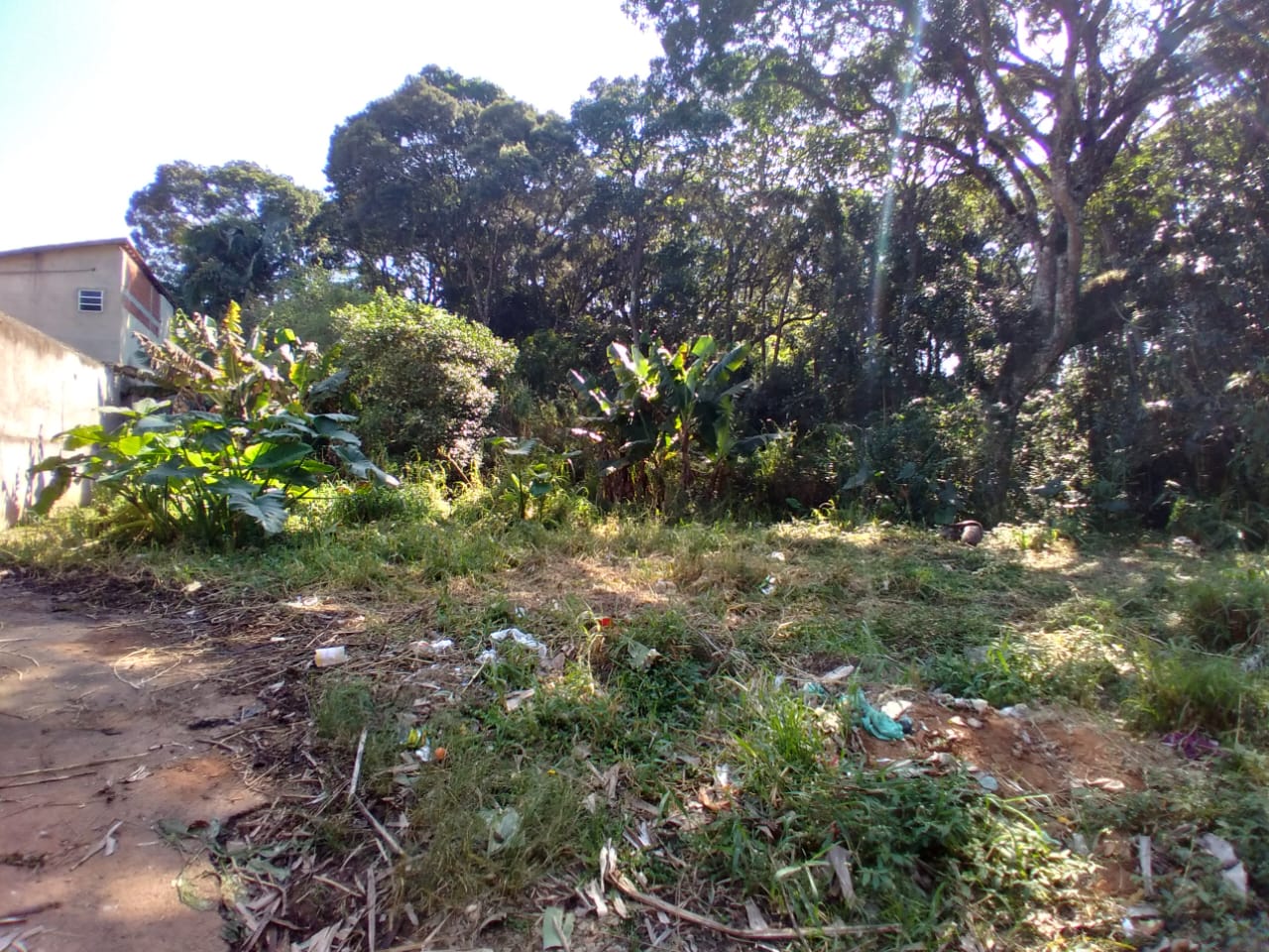 Terreno com 5.700m² - Nhambuca - Cotia/SP