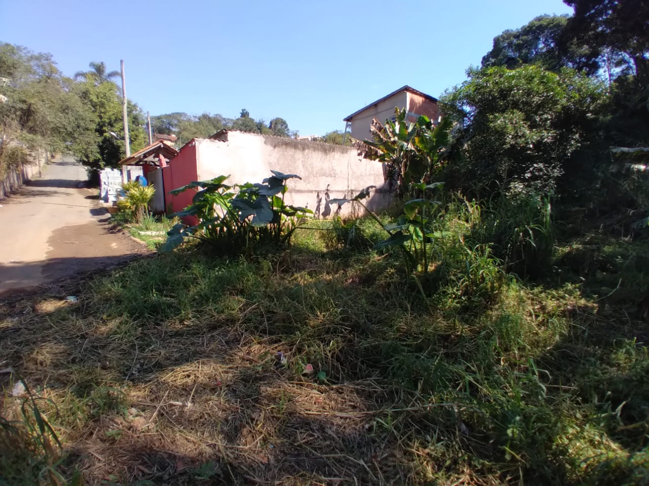 Terreno com 5.700m² - Nhambuca - Cotia/SP