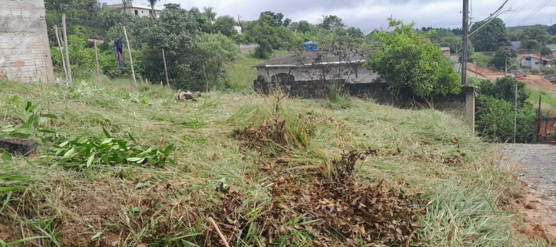 Terreno - Venda, Jardim Petrópolis, Cotia, SP
