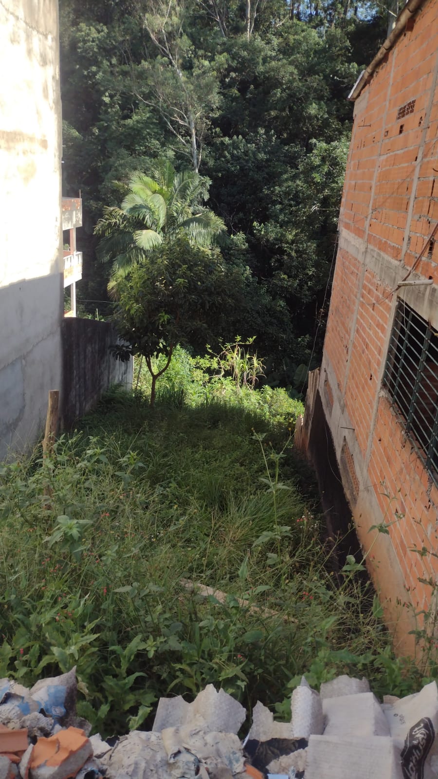 Terreno com 290m² - Jardim Leonor - Cotia/SP