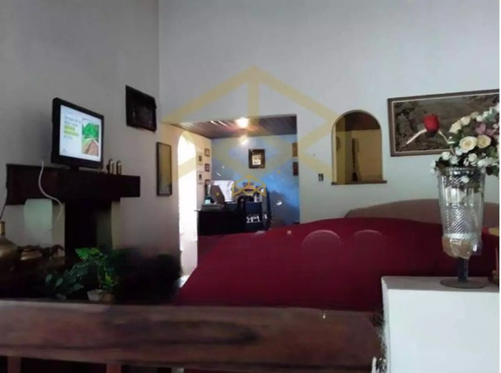 Casa, 3 quartos, 600 m² - Foto 4