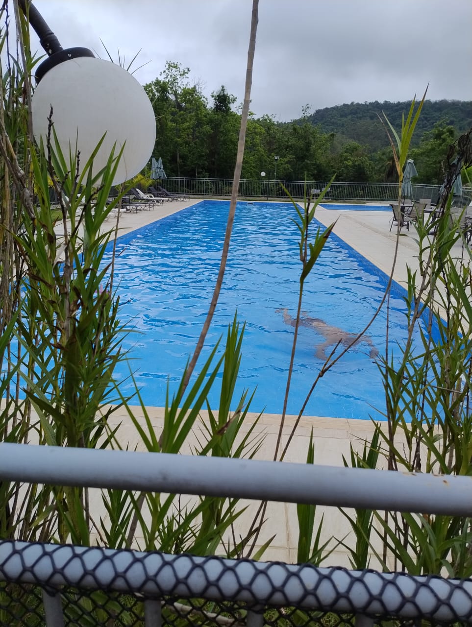 Apartamento de 02 Quartos - Condomínio Conquista - Cotia/SP